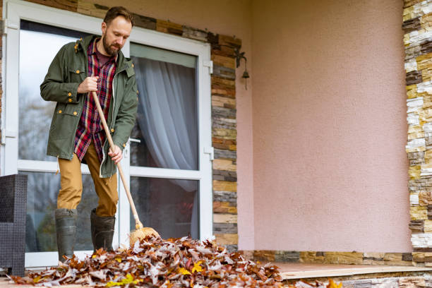 Best Basement Cleanout Services  in Timnath, CO
